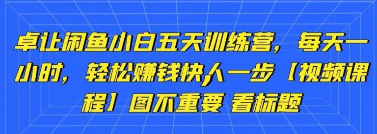 卓让闲鱼小白五天训练营，每天一小时，轻松赚钱快人一步-网创资源吧