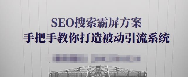 SEO搜索霸屏方案，手把手教你打造被动引流系统【视频课程】-网创资源吧
