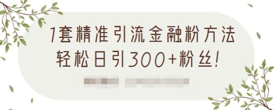 1套精准引流金融粉方法，轻松日引300+粉丝-网创资源吧