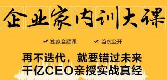 企业家内训大课，未来企业必学经验，价值1299元-网创资源吧