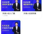 湛北·抖音小店入门进阶高阶合集,八大玩法打造百万店铺-网创资源吧