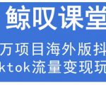 鲸叹号·海外TIKTOK训练营，百万项目海外版抖音tiktok流量变现玩法-网创资源吧