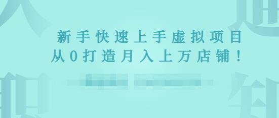 2022年虚拟项目实战指南，新手从0打造月入上万店铺-网创资源吧