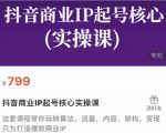 抖音商业IP起号核心实操课,带你玩转算法,流量,内容,架构,变现-网创资源吧