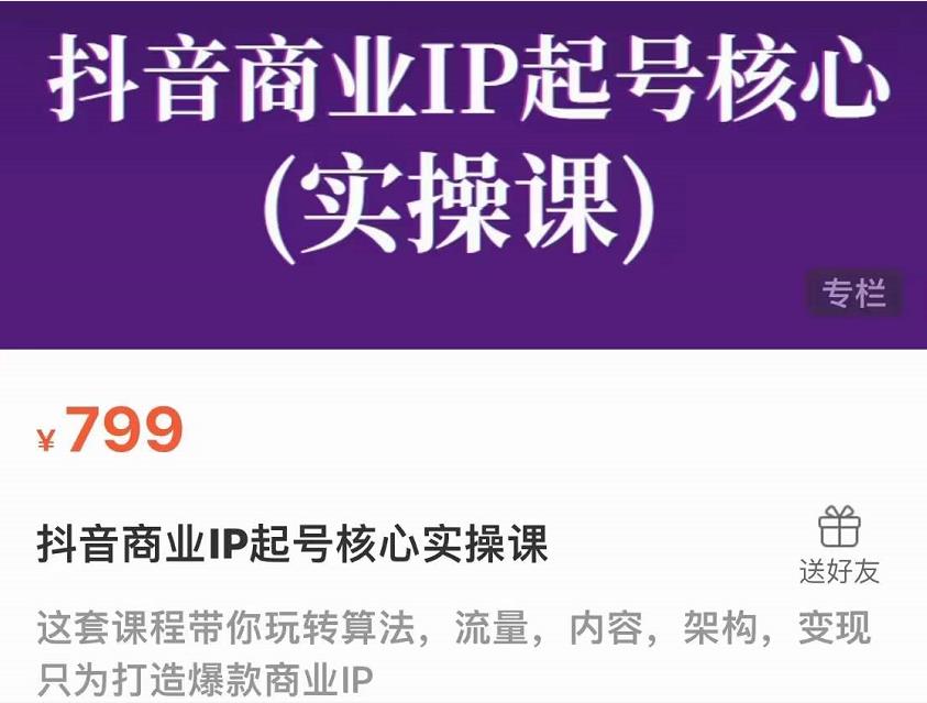 抖音商业IP起号核心实操课，带你玩转算法，流量，内容，架构，变现-网创资源吧