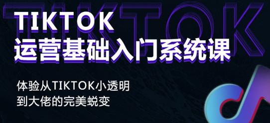 Tiktok实操进阶课程，体验从tiktok小透明到大佬的完美蜕变-网创资源吧
