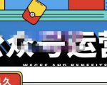 零零已久·从0-1运营公众号,零基础小白也能上手,系统性了解公众号运营-网创资源吧