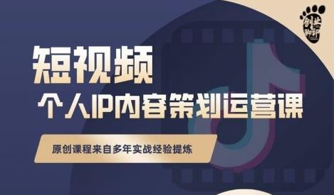 抖音短视频个人ip内容策划实操课，真正做到普通人也能实行落地-网创资源吧