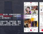 麦子互娱短视频带货·0基础做好物分享账号,无需出镜无需货源无需拍摄-网创资源吧