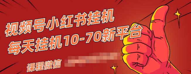 视频号小红书抖音挂机项目，小白无脑操作，按照要求来，单号每天几十米-网创资源吧