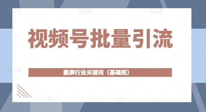 视频号批量引流，霸屏行业关键词（基础班）全面系统讲解视频号玩法-网创资源吧