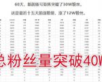 倪叶明·蓝海公众号矩阵项目训练营,0粉冷启动,公众号矩阵账号粉丝突破30w-网创资源吧