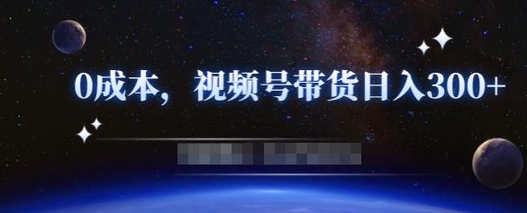 零基础视频号带货赚钱项目，0成本0门槛轻松日入300+【视频教程】-网创资源吧