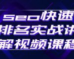 seo快速排名实战讲解视频课程,揭秘seo快排原理-网创资源吧