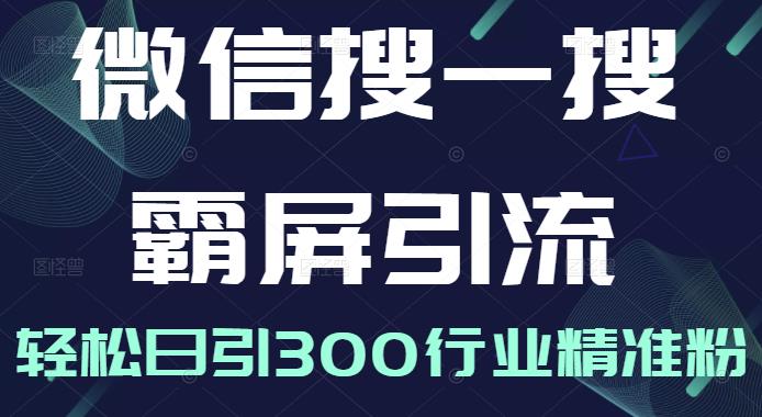 微信搜一搜霸屏引流课，打造被动精准引流系统，轻松日引300行业精准粉-网创资源吧