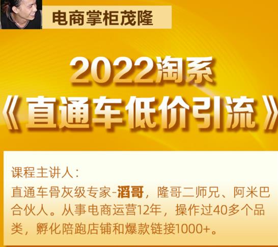 茂隆2022直通车低价引流玩法，教大家如何低投入高回报的直通车玩法-网创资源吧