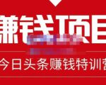 懒人领域·今日头条项目玩法,头条中视频项目,单号收益在50—500可批量-网创资源吧