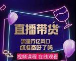 【及至专享】DY赋能系统星课程,流量万亿风口,你准备好了吗-网创资源吧