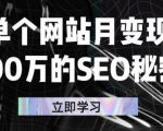 单个网站月变现100万的SEO秘密,百分百做出赚钱站点-网创资源吧