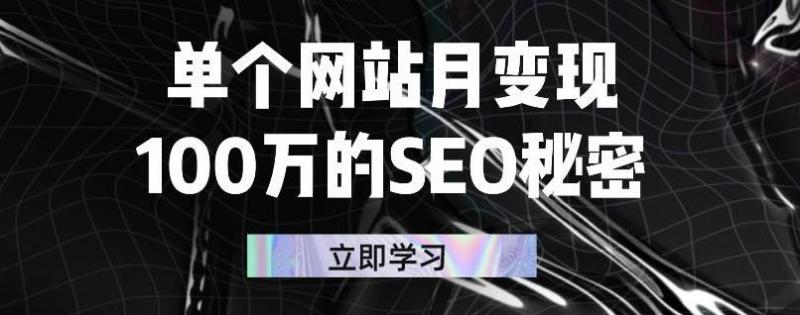 单个网站月变现100万的SEO秘密，百分百做出赚钱站点-网创资源吧