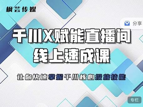 枫芸传媒-线上千川提升课，提升千川认知，提升千川投放效果-网创资源吧