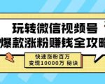 玩转微信视频号爆款涨粉赚钱全攻略,快速涨粉百万变现万元秘诀-网创资源吧
