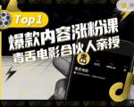 【毒舌电影合伙人亲授】抖音爆款内容涨粉课,5000万抖音大号首次披露涨粉机密-网创资源吧