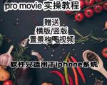 漆十二美食摄影,25节promovie实操高手课节-网创资源吧