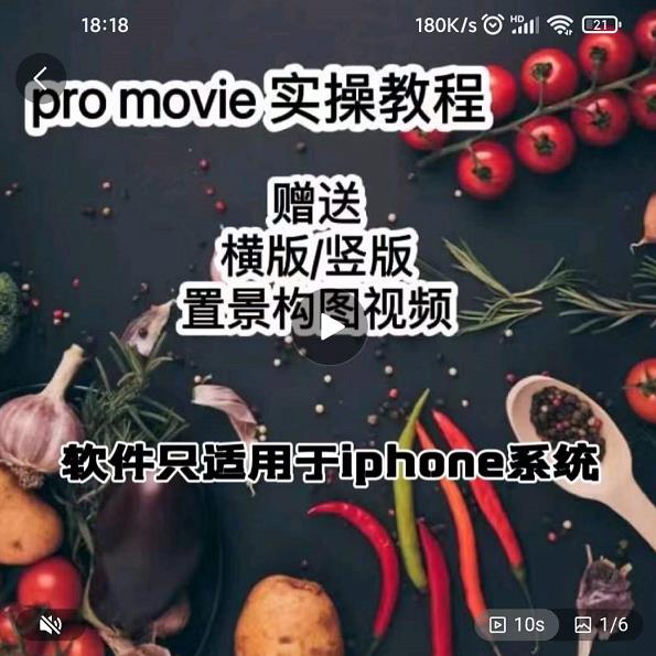 漆十二美食摄影，25​节promovie实操高手课节-网创资源吧
