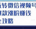 玩转微信视频号爆款涨粉赚钱全攻略,让你快速抓住流量风口,收获红利财富-网创资源吧