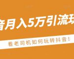 老古董·抖音月入5万引流玩法,看看老司机如何玩转抖音(附赠:抖音另类引流思路)-网创资源吧