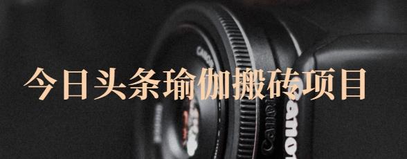 猎人社区·今日头条瑜伽搬砖项目，单号一天几十收入，可以批量操作！-网创资源吧