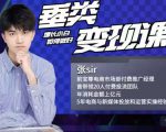 张sir·垂类变现课,抖音带货新手才看粉丝量,高手都看变现效率-网创资源吧