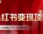 渣圈学苑·小红书虚拟资源变现项目,一起捞钱掘金价值1099元-网创资源吧