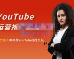 外国人眼中的YouTube该怎么玩?Elisa·YouTube运营推广实战技巧-网创资源吧