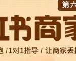 贾真-小红书商家营第6期商家版，21天带货陪跑课，让商家丢掉付流量-网创资源吧