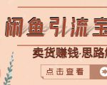 闲鱼引流宝妈粉+卖货赚钱一个月收益30000+(实操视频教程)-网创资源吧