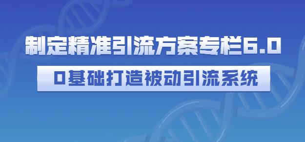 制定精准引流方案专栏6.0，0基础打造被动引流系统-网创资源吧