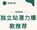 【跨境B哥】独立站潜力爆款选品推荐，测款出单率高达百分之80-网创资源吧