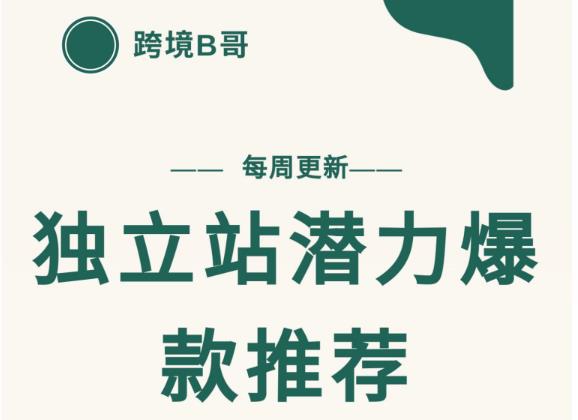 【跨境B哥】独立站潜力爆款选品推荐，测款出单率高达百分之80-网创资源吧