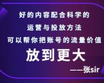 张sir账号流量增长课，告别海王流量，让你的流量更精准-网创资源吧