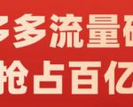 阿杰·拼多多流量破局:如何打黑标,爆款的思路,拼多多流量框架,快速抢占百亿流量-网创资源吧