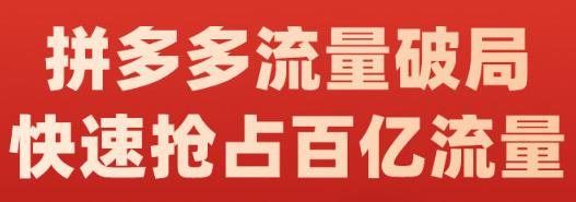 阿杰·拼多多流量破局:如何打黑标，爆款的思路，拼多多流量框架，快速抢占百亿流量-网创资源吧