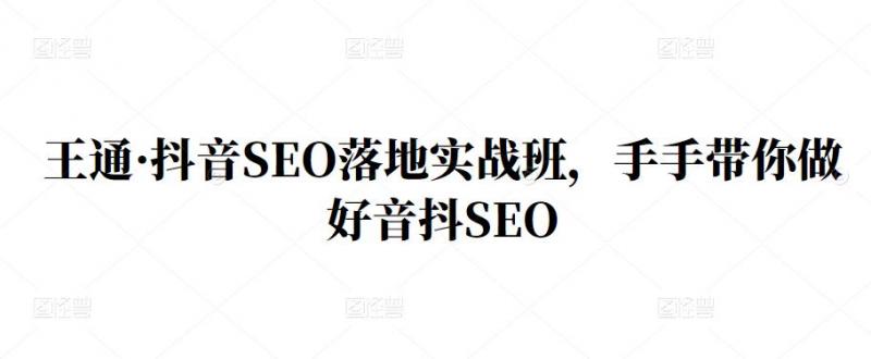 王通·抖音SEO落地实战班，手‬手带你做好音抖‬‬SEO-网创资源吧
