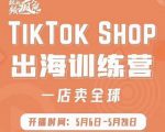 疯人院:TikTok Shop出海训练营(一店卖全球),出海抢占全球新流量-网创资源吧