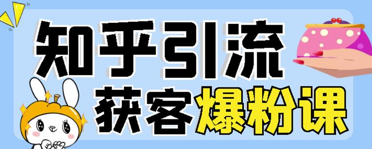 2022船长知乎引流+无脑爆粉技术：每一篇都是爆款，不吹牛，引流效果杠杠的-网创资源吧
