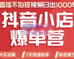 推易电商·2022年抖音小店爆单营，不直播、不拍短视频、日出1000单，暴力玩法-网创资源吧