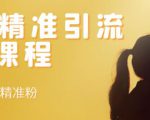 soul精准引流系列课程,每天引流100精准粉-网创资源吧