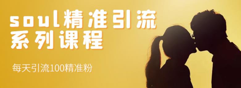 soul精准引流系列课程，每天引流100精准粉-网创资源吧