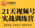 张萌21天视频号实战训练营,裂变涨粉、内容创作、视频号变现 价值298元-网创资源吧